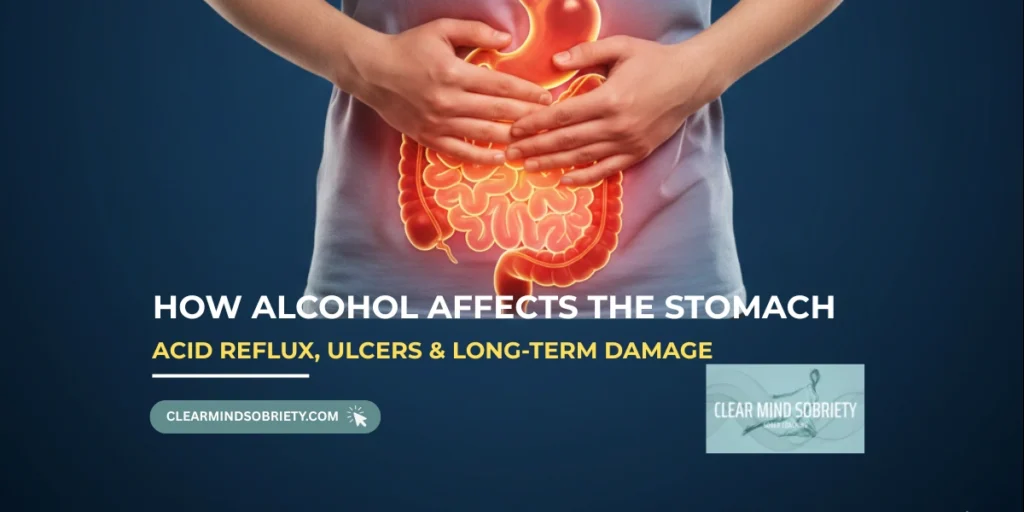 How alcohol harms digestion and affects stomach health